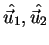 $\hat{\vec{u}_1},\hat{\vec{u}_2}$