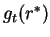 $g_t(r^*)$